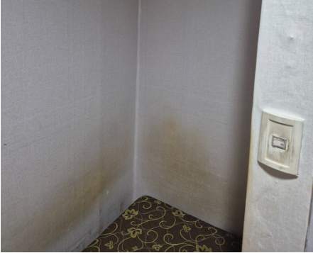 고양시 덕양구 화정동 고시원 도배 시공 현장